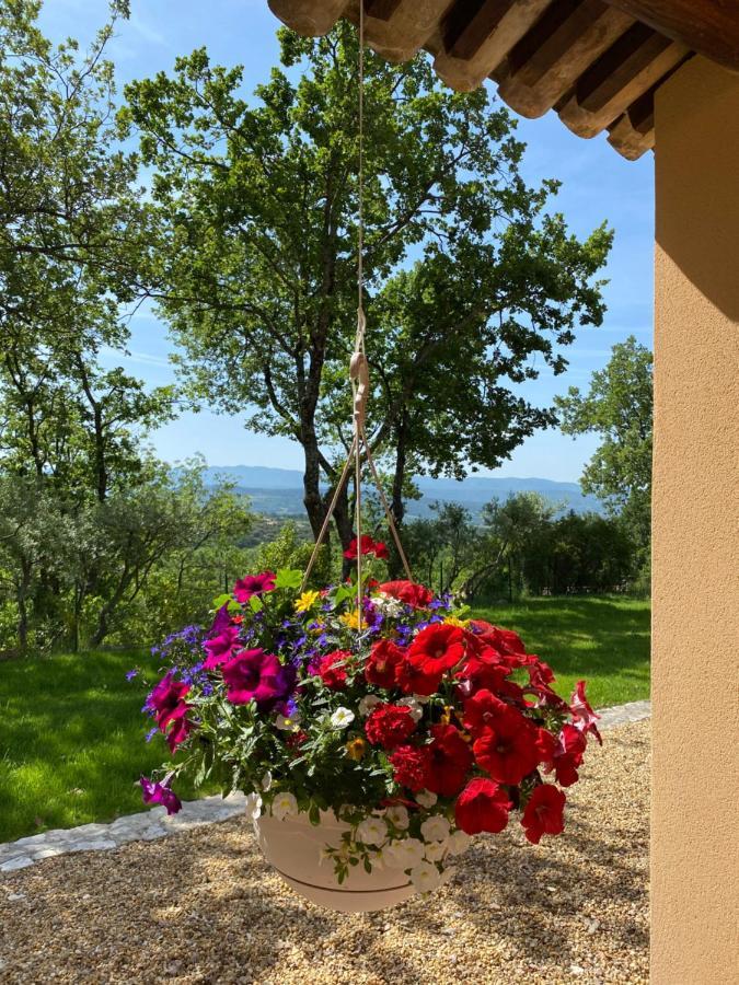 Chante Coucou Saint-Saturnin-les-Apt Exterior photo